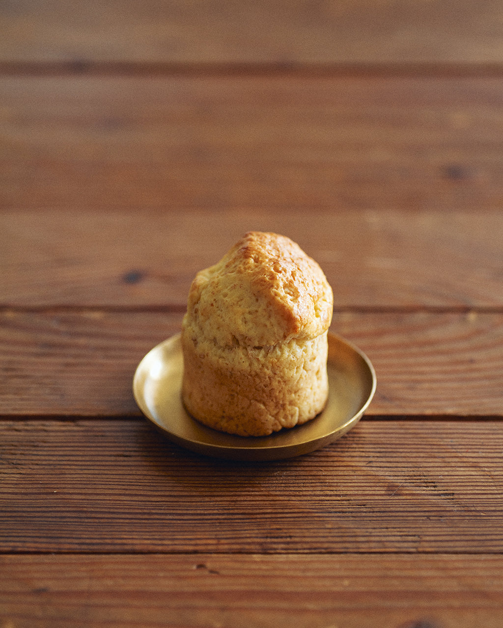 Brass Plate (S): Round