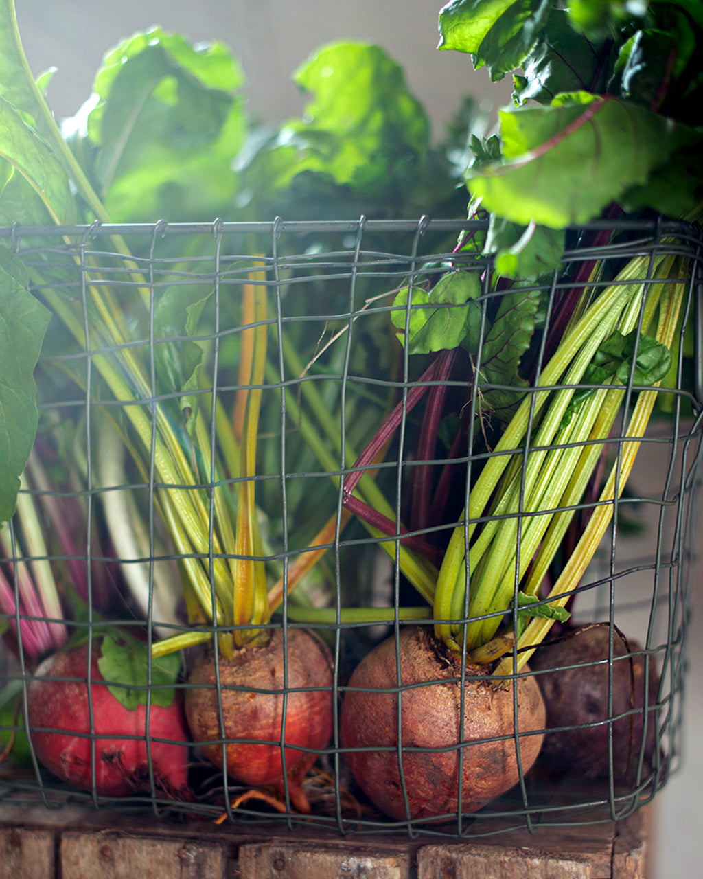 Standard Basket (M)