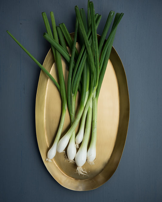 Brass Oval Tray: Medium